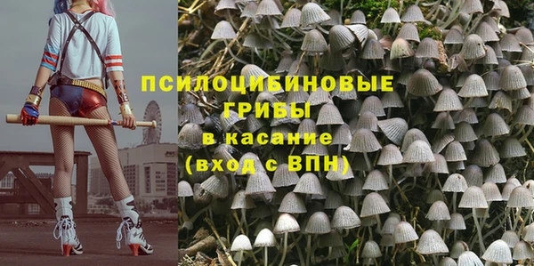 a pvp Армянск