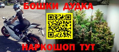 PSILOCYBIN Краснознаменск