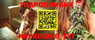 PSILOCYBIN Краснознаменск