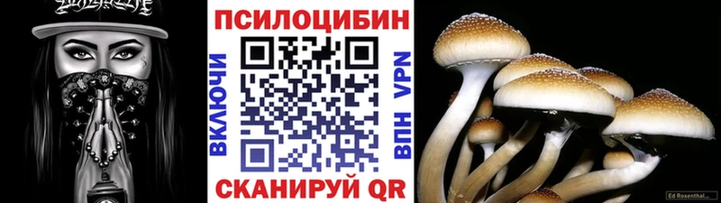 цена наркотик  площадка Telegram  Галлюциногенные грибы GOLDEN TEACHER  Коломна 