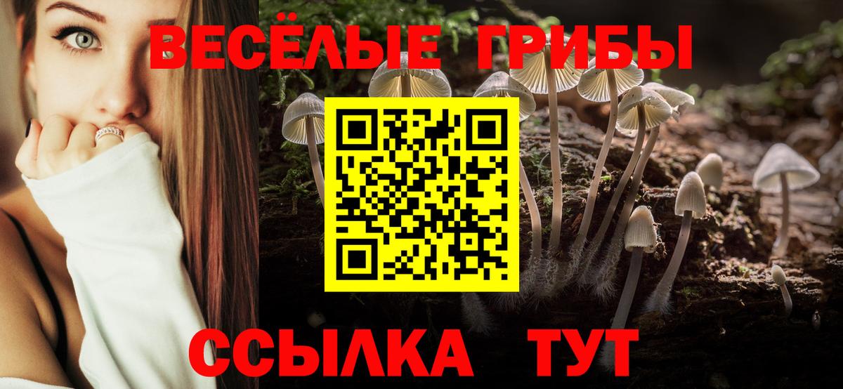 Коломна  Псилоцибиновые грибы MAGIC MUSHROOMS  Вход с VPN 